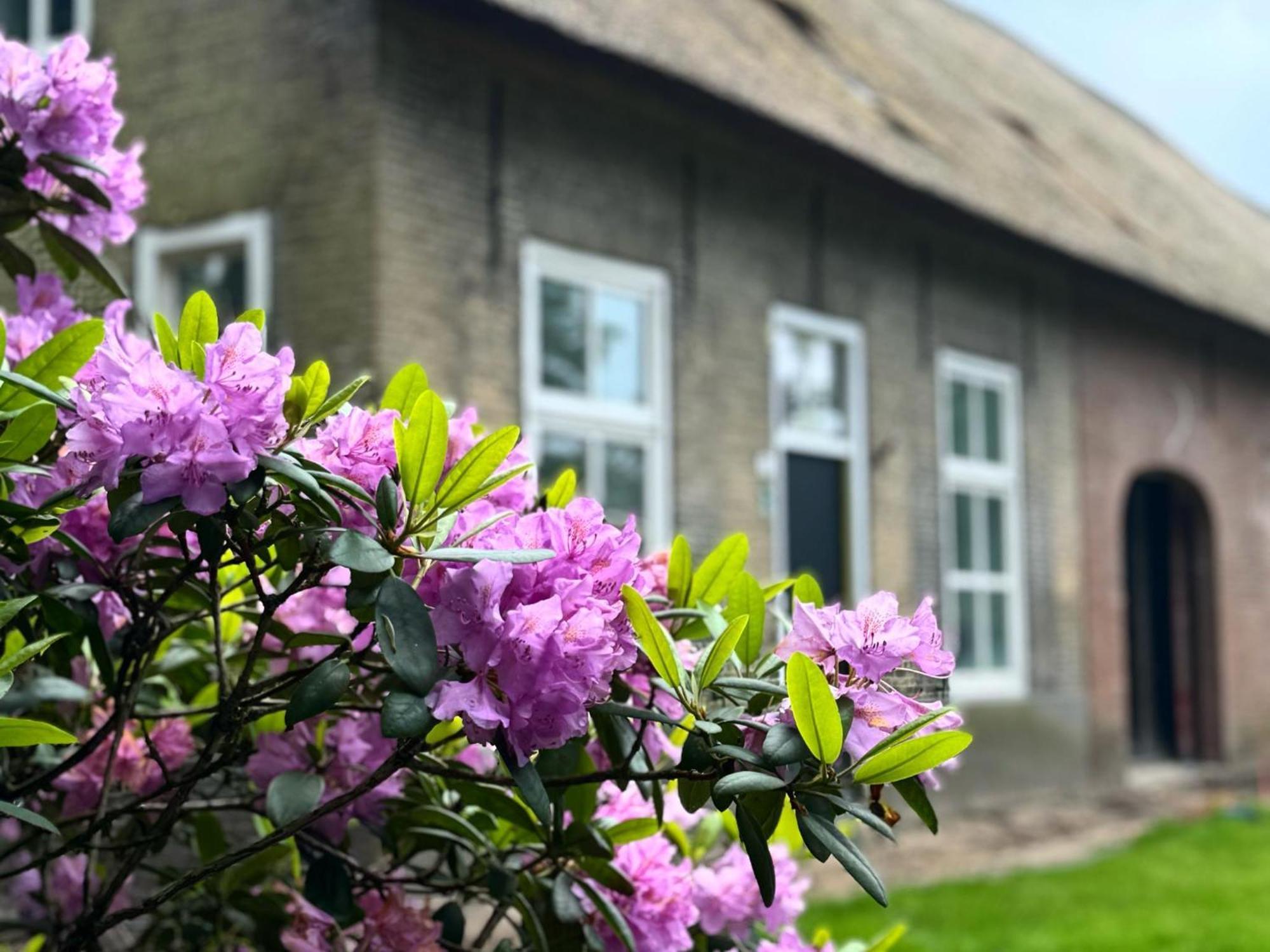 Het Hoevehuys Wagenberg 외부 사진